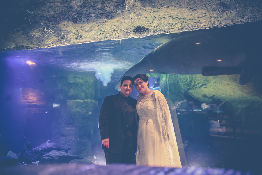 Texas Aquarium Lesbian Wedding