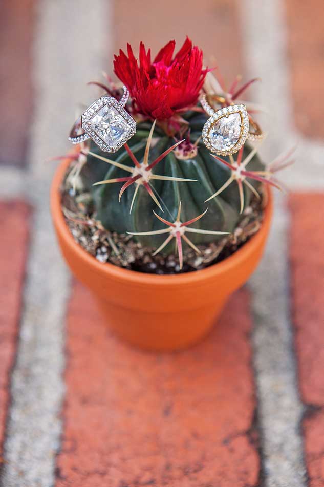 rustic wedding inspiration | Mexico | gay marriage | cactus | diamond engagement rings