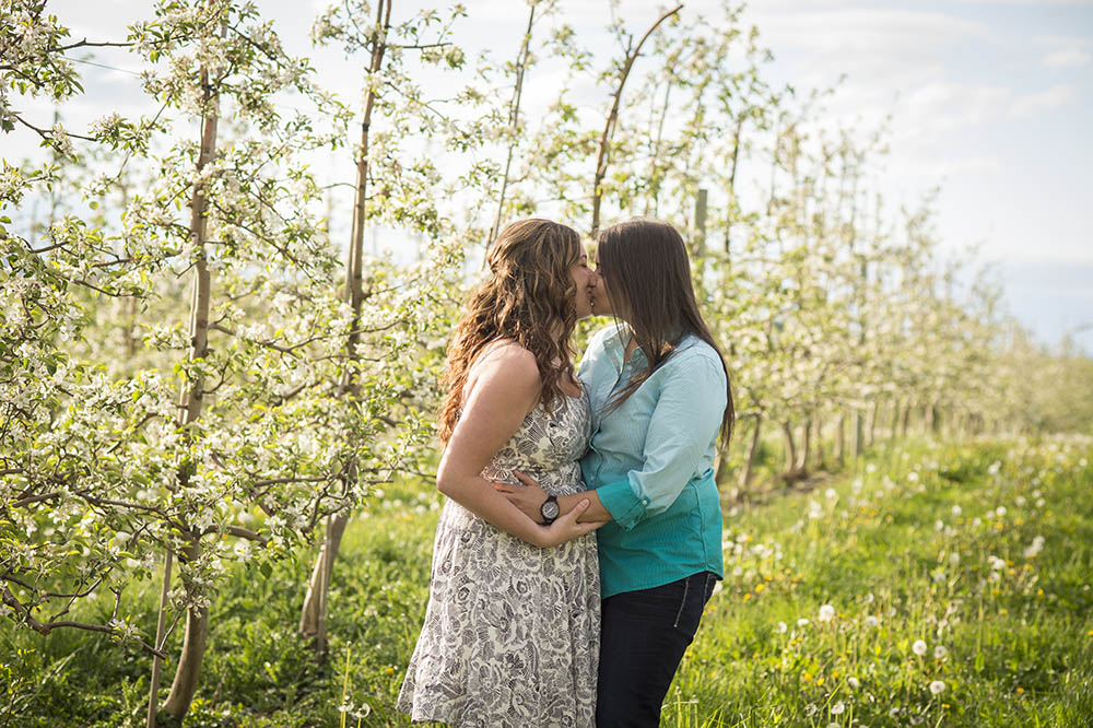 Ontario orchard engagement photography shoot kissing
