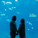 Caroline & Conor's engagement session at the GA Aquarium