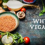 Why Vegan?