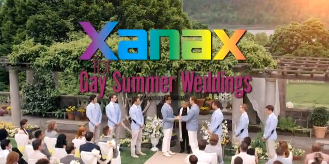 gay summer weddings video still SNL