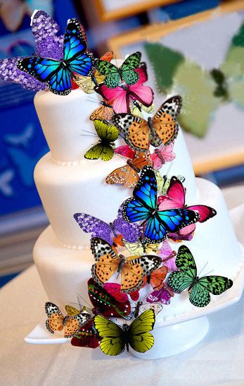 Colorful butterflies adorn this gorgeous wedding cake we spotted on Pinterest
