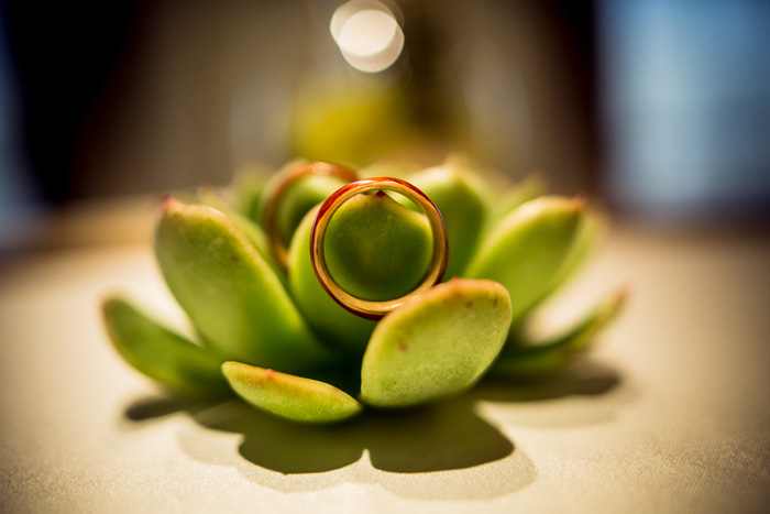 succulents-wedding-rings-phyllis-belinda-liesldieselphoto-lee-li-1538