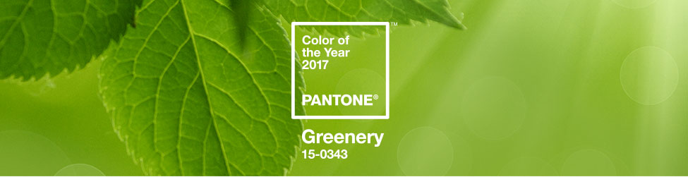 Greenery Pantone color of the year