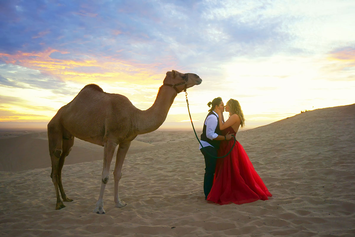 Egyptian engagement photos at sunset with camel kiss