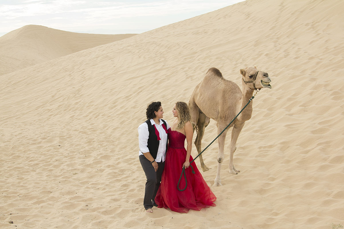 Egyptian engagement photos at sunset with camel