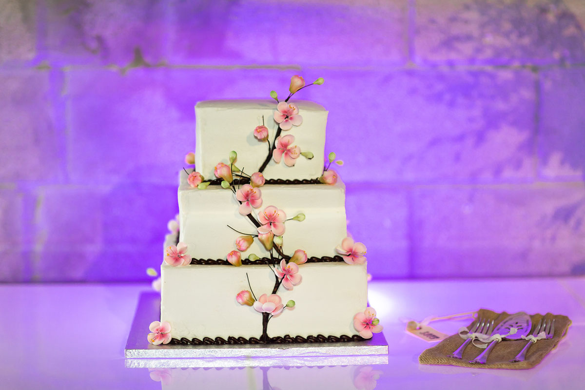 Fort Lauderdale gay dance studio owner wedding cake