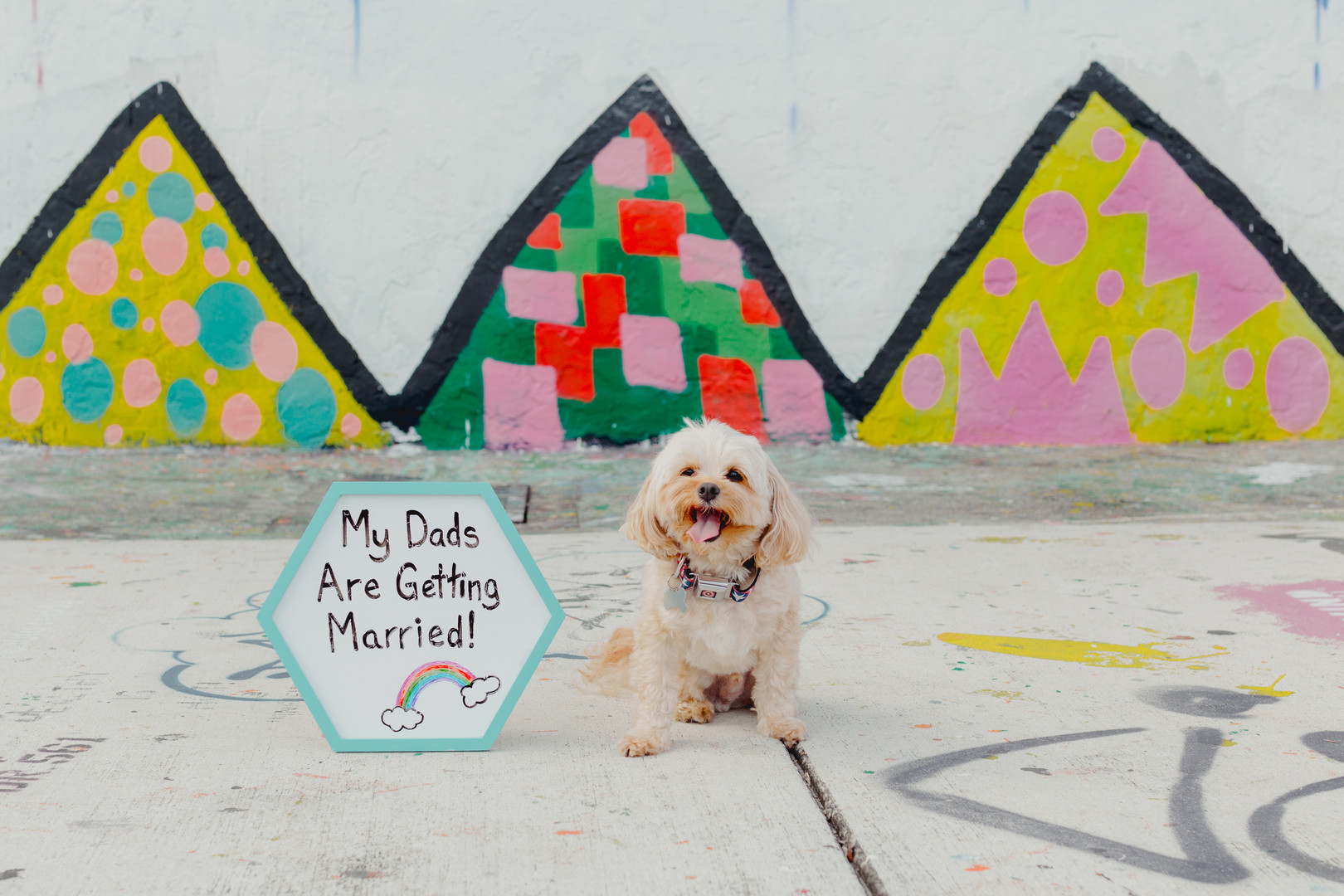 Fun, colorful arcade engagement photos two grooms street art Miami, Florida art district graffiti casual dog dads