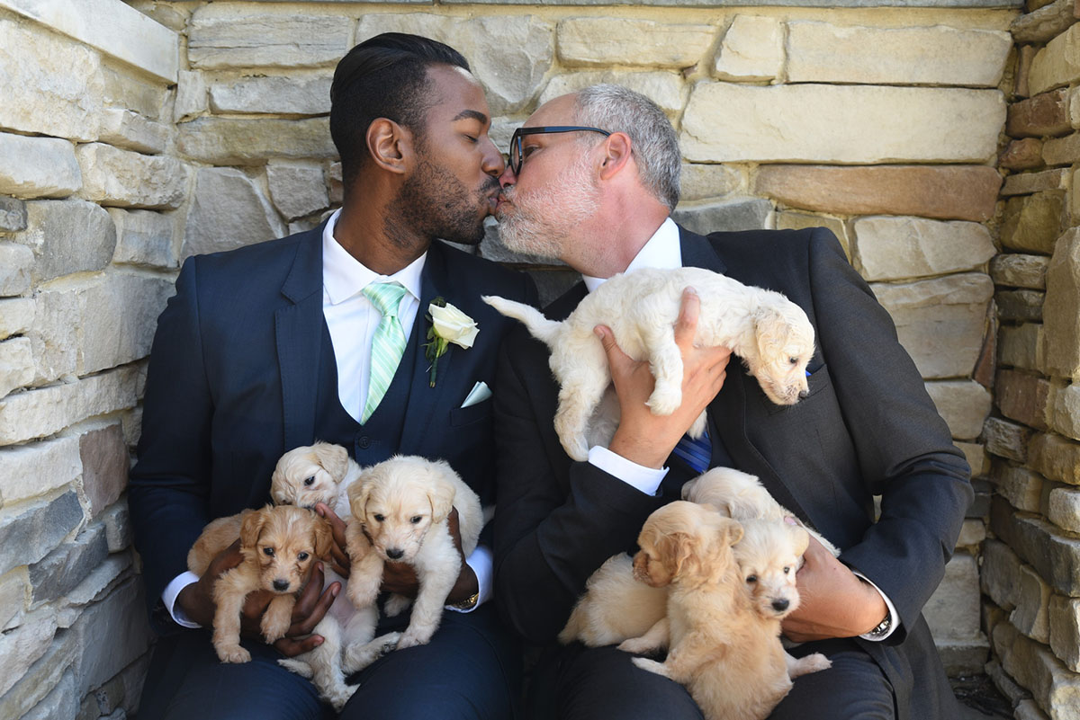 Nature and puppies wedding inspiration two grooms black tuxedos tux blue and green ties kissing