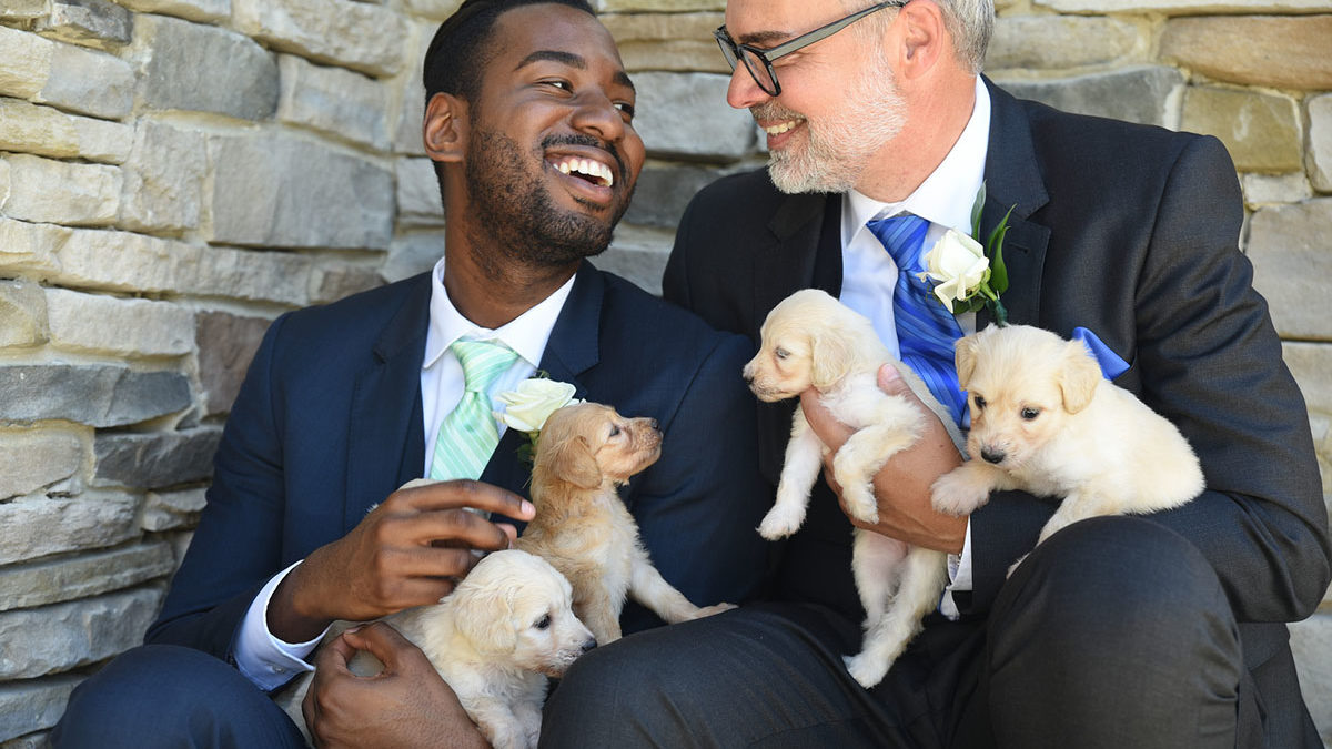 Nature and puppies wedding inspiration