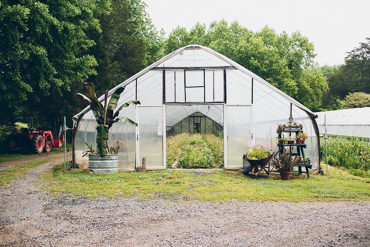 Flower farm wedding with s'mores bar greenhouse