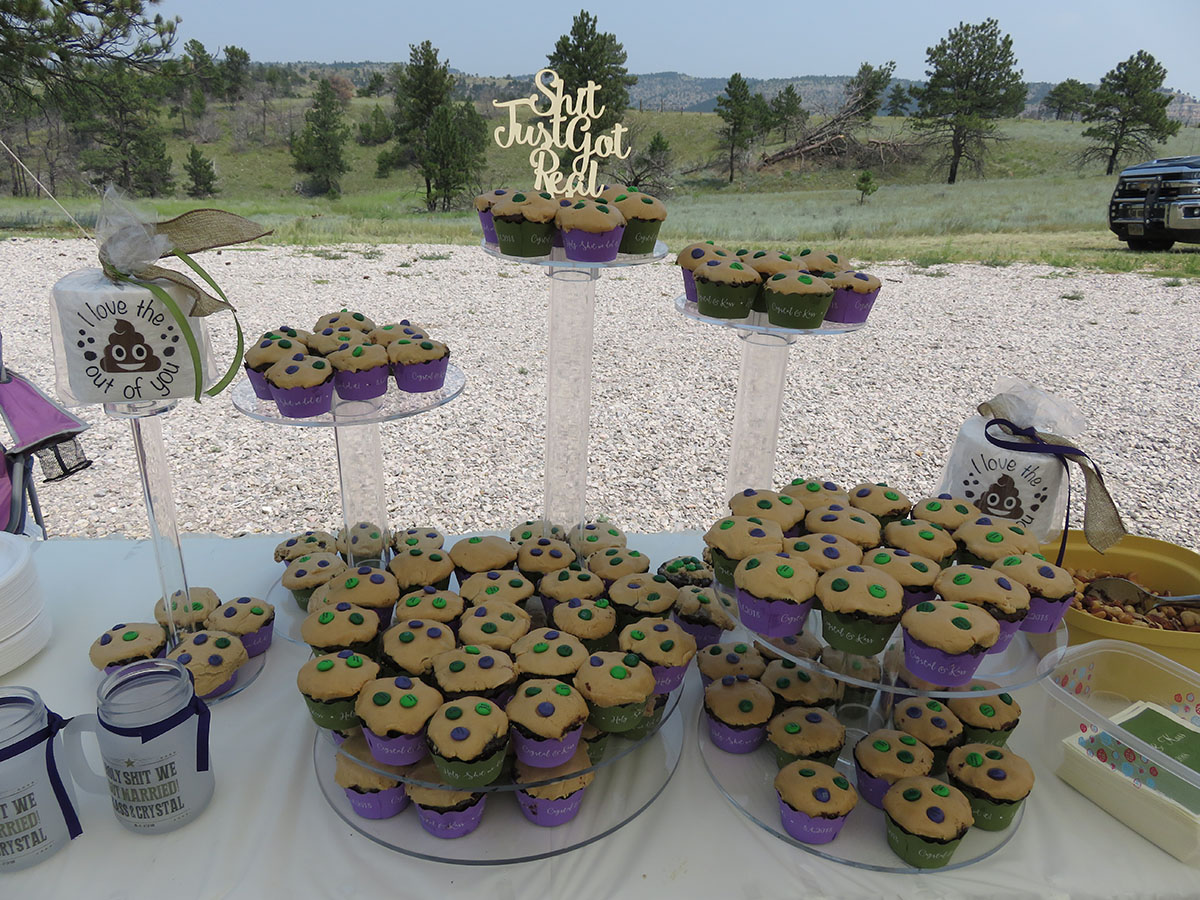 Rustic castle wedding at Guernsey State Park in Wyoming dessert cupcake cookie table
