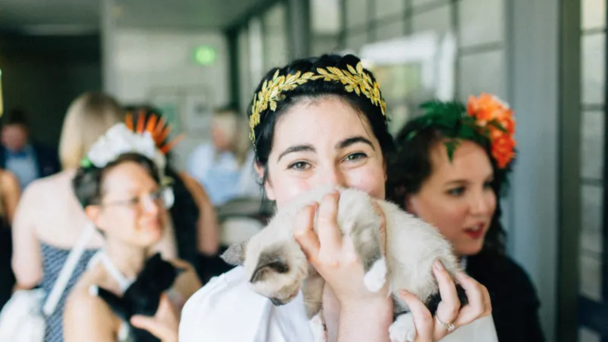 This couple had a kitten hour at their wedding instead of a cocktail hour