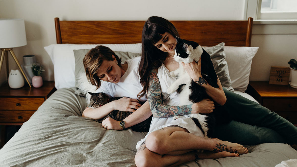 Home engagement photos with cats in San Diego, California