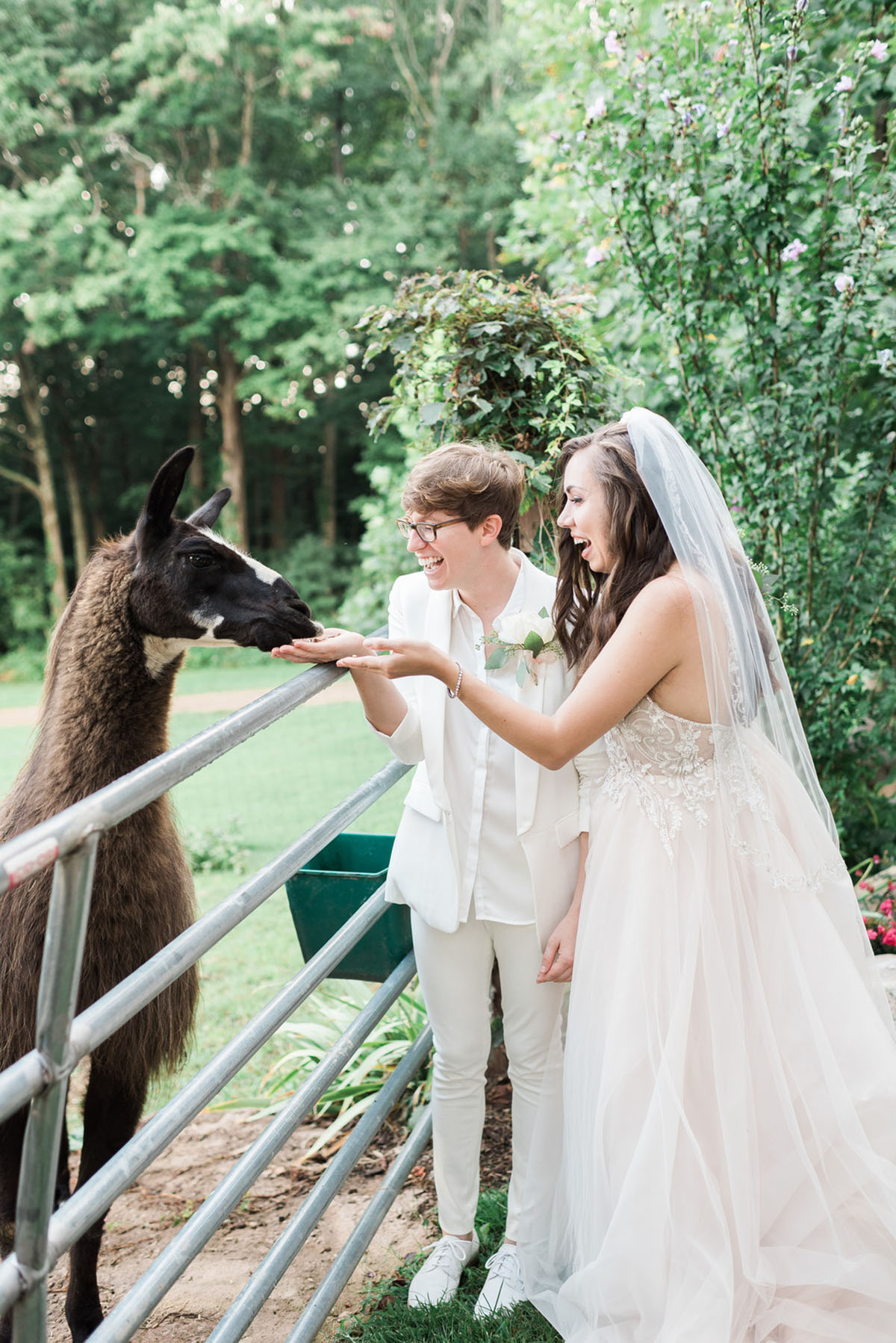 Storybrook Farm wedding in Jonesborough, Tennessee two brides blush dress all white suit llama alpaca