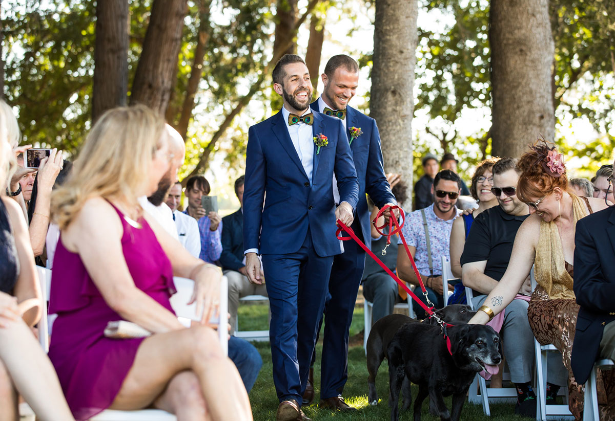 Colorful vineyard wedding in Napa Valley, California two grooms blue tux peacock bow tie whimsical mountains outdoor dogs