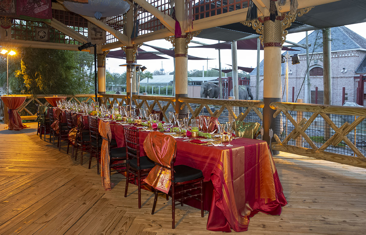 Choose the wildest wedding venue with the Audubon Zoo and Aquarium Elephant Donor Dinner Audubon Zoo New Orleans