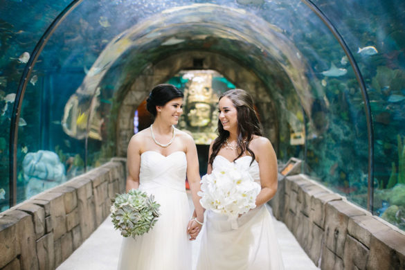 Choose the wildest wedding venue with the Audubon Zoo and Aquarium New Orleans two brides lesbian wedding