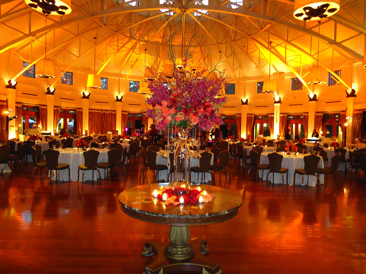 Choose the wildest wedding venue with the Audubon Zoo and Aquarium