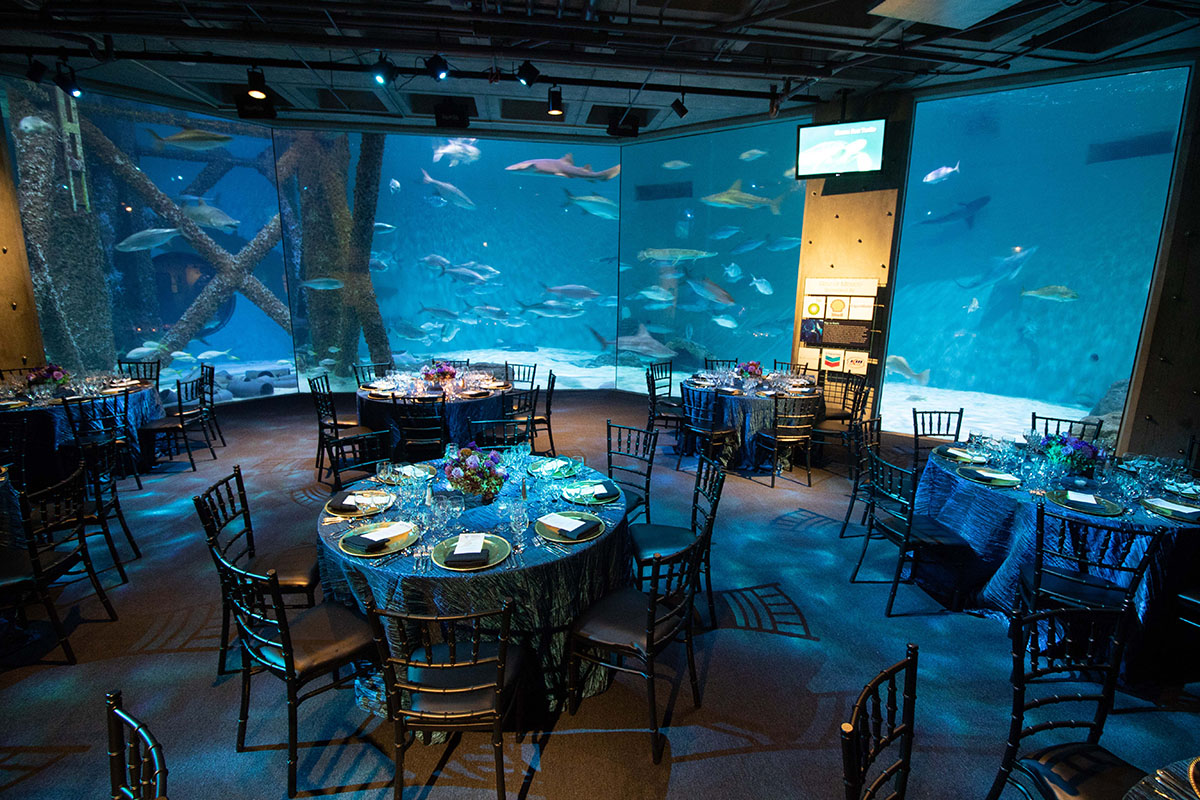 Choose the wildest wedding venue with the Audubon Zoo and Aquarium Gulf dinner