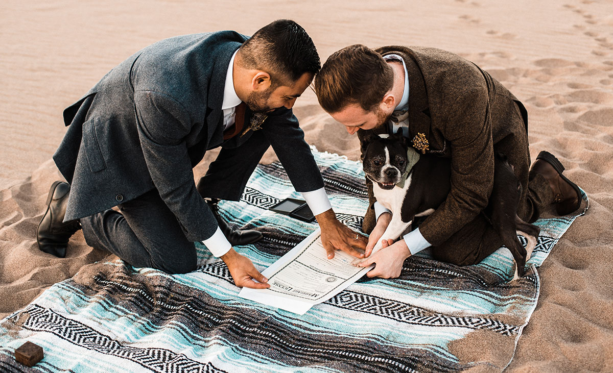 Sunset and sand dunes adventure elopement two grooms suits gay wedding intimate nature Boston Terrier