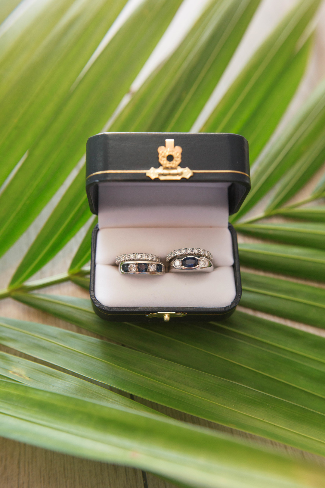 Romantic beach wedding in Fort Lauderdale, Florida two brides lesbian wedding rings