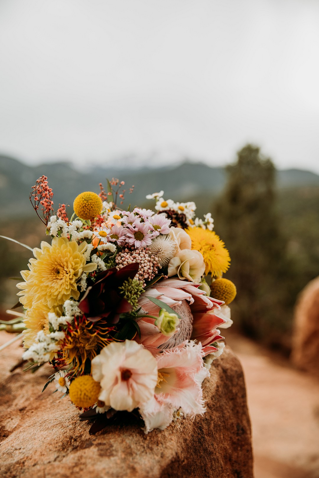 Epic spring Garden of the Gods elopement with dog attendants LGBTQ+ weddings intimate lesbian wedding two brides dogs sandstone formation cliffs bouquet