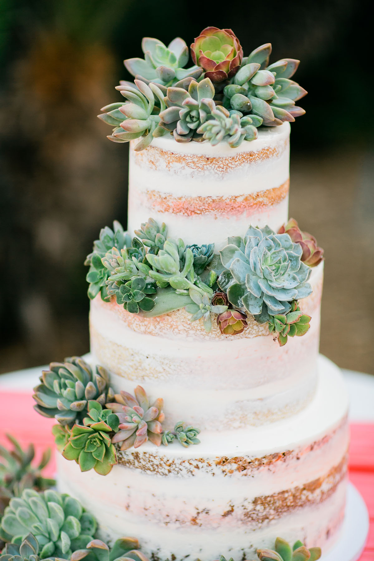 Whimsical, rustic waterfront wedding in San Diego, California two brides LGBTQ+ weddings sunny succulents cake