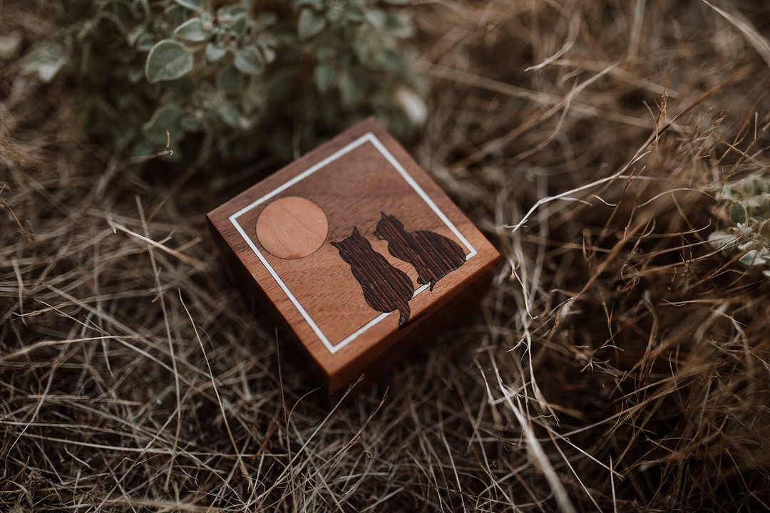 Golden hour proposal in the mountains of San Diego, California LGBTQ+ engagements weddings two brides engaged i do how she asked she said yes cat ring box