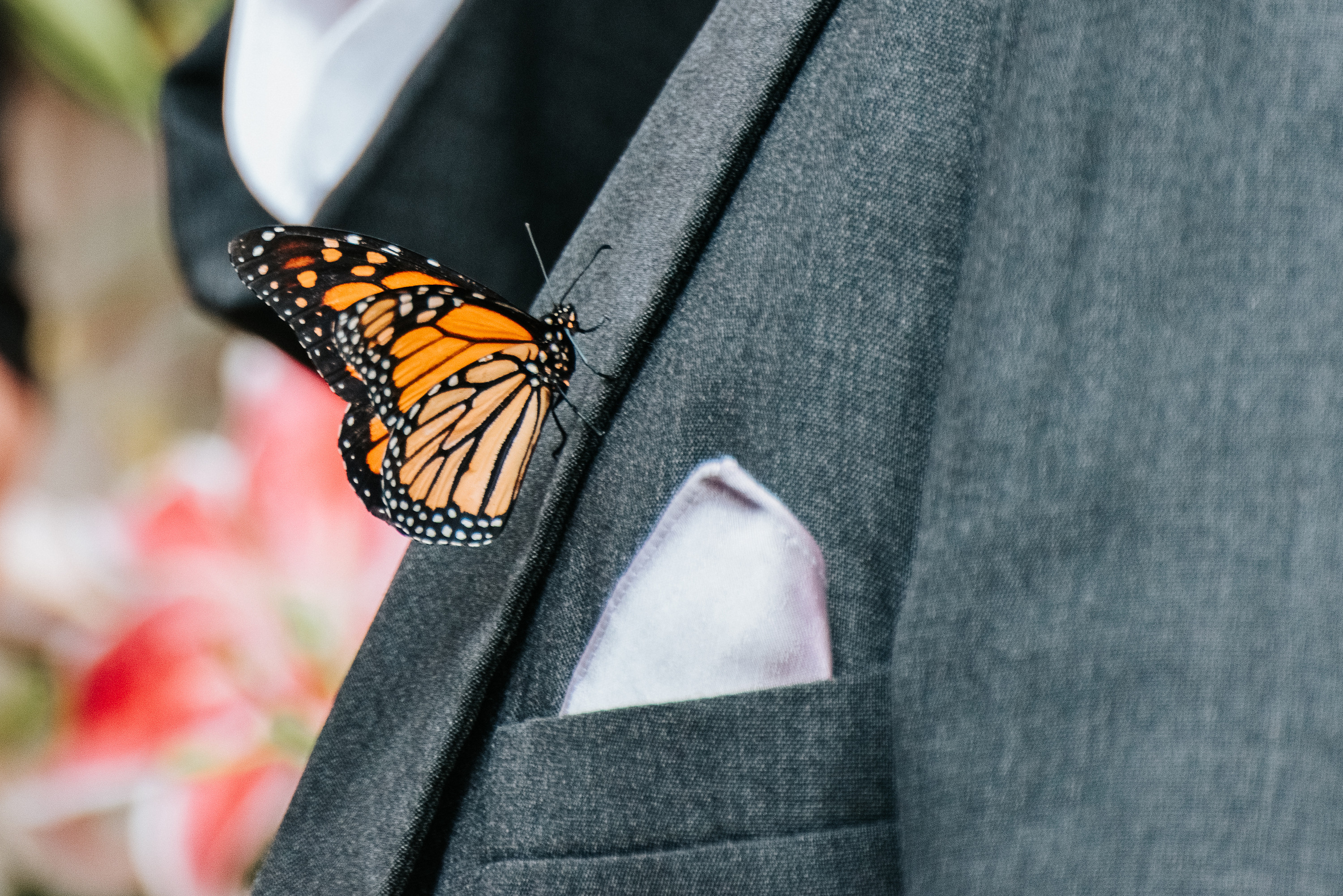 Intimate dinner party wedding with butterfly release ceremony LGBTQ+ weddings monarch colorful small wedding two grooms wine sunflowers