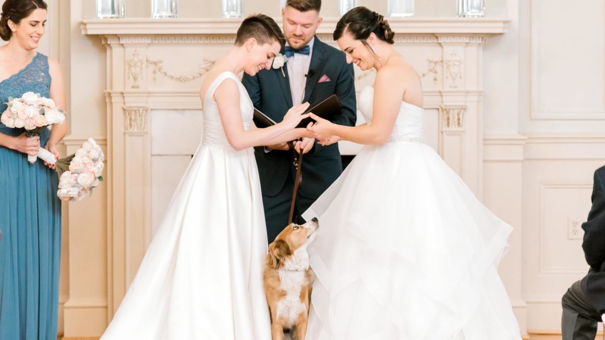 Best ways to include dogs in weddings