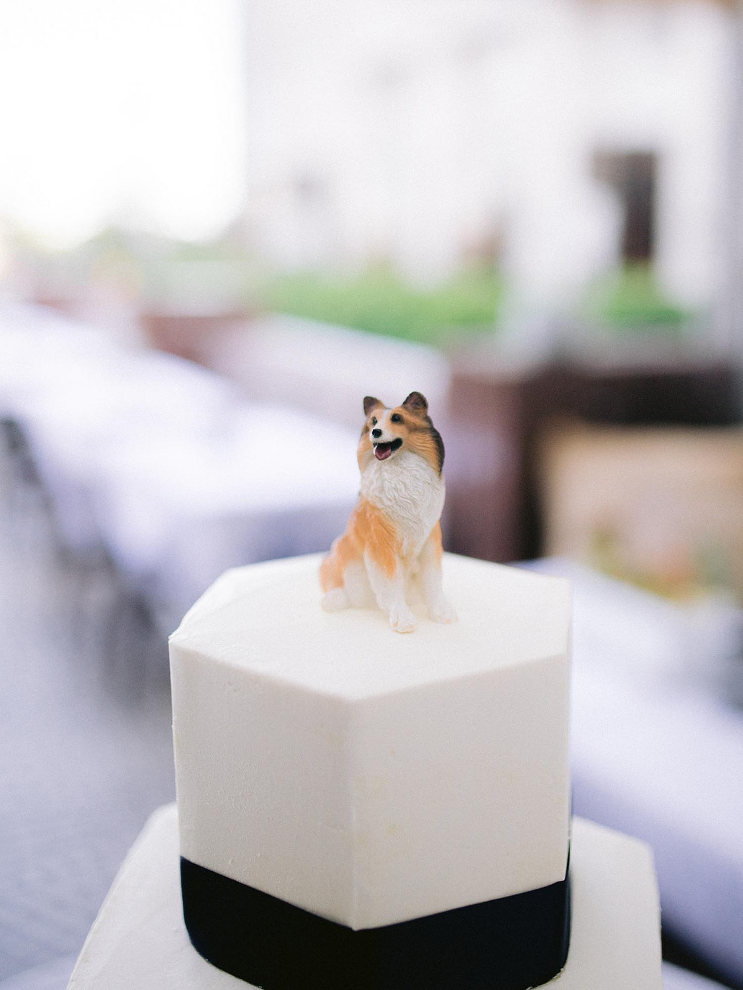 San Francisco restaurant wedding with jazz band and dog cake topper | Apollo Fotografie | Featured on Equally Wed, the leading LGBTQ+ wedding magazine
