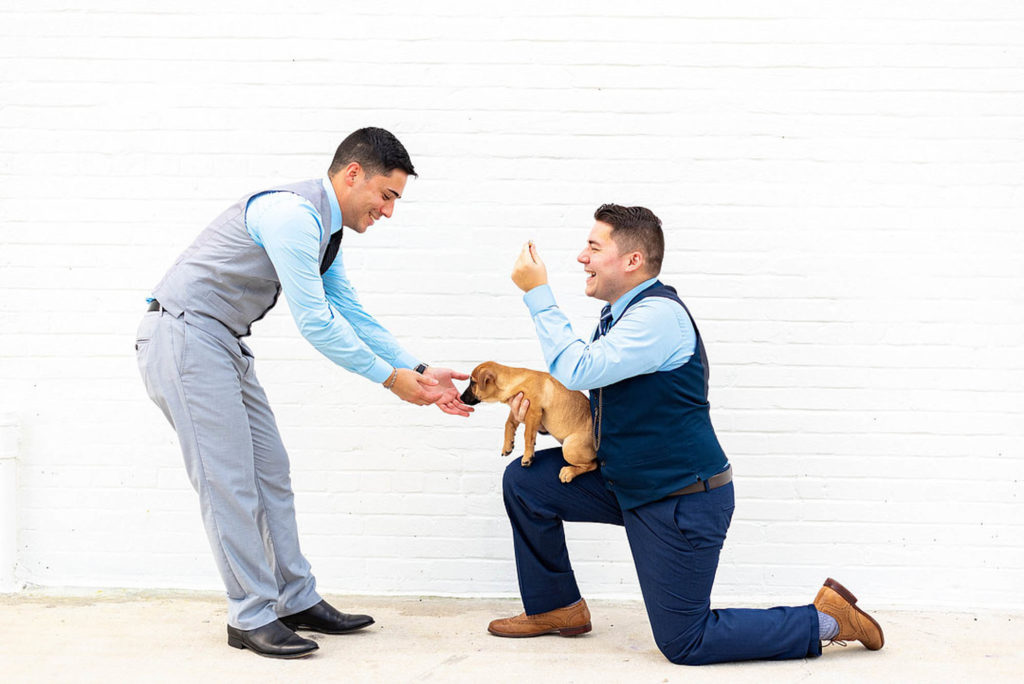Puppy proposal inspiration with cake, champagne, and blue color palette | Jennifer Nicole Photography & Films | Featured on Equally Wed, the leading LGBTQ+ wedding magazine