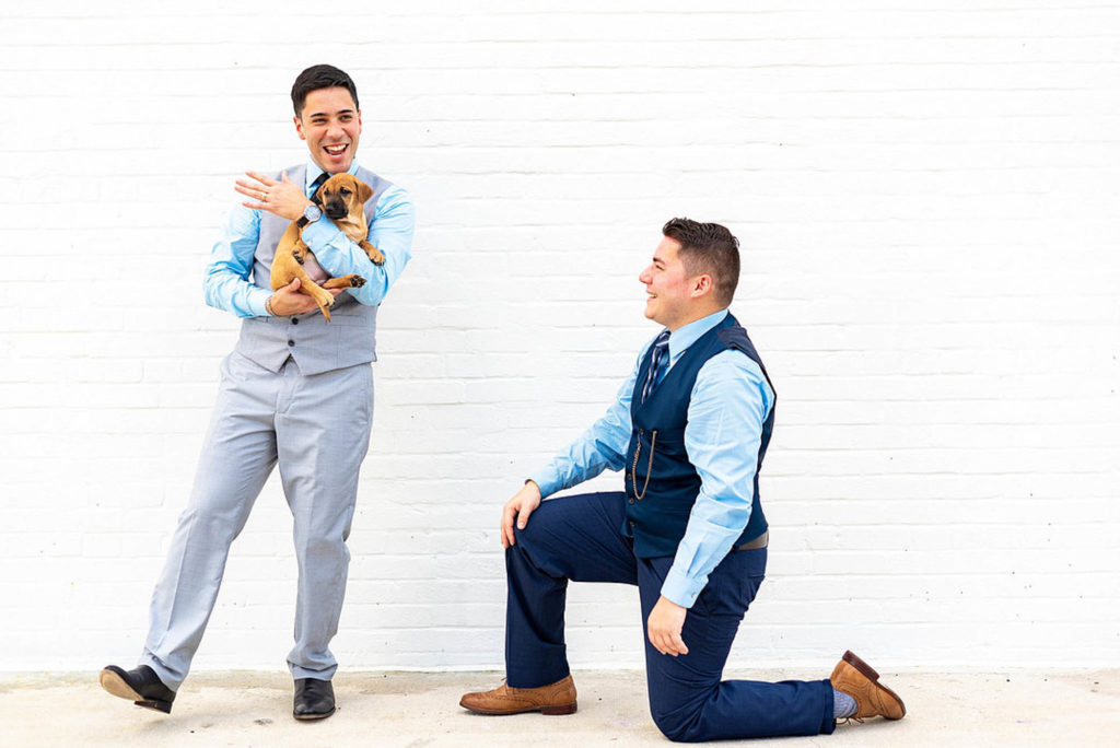 Puppy proposal inspiration with cake, champagne, and blue color palette | Jennifer Nicole Photography & Films | Featured on Equally Wed, the leading LGBTQ+ wedding magazine