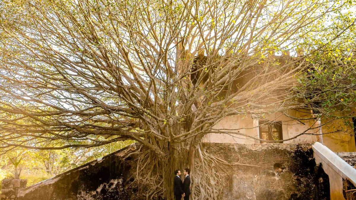 Sparkling wedding in Mexico beneath an ancient tree
