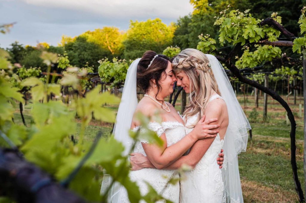 brides, vineyard, lesbian wedding