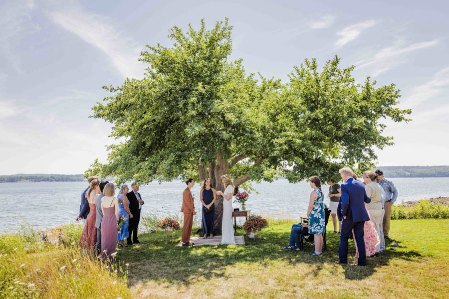 LGBTQ+ couple, one in a copper suit, one in an open-back lace wedding dress, say their vows. Brunette officiant in blue dress stands in the middle of them and is looking down at a notepad. Behind them is an apple tree and the ocean. LGBTQ+ couple, one in a copper suit, one in an open-back lace wedding dress, say their vows in an outdoor summer wedding on a sunny day. Brunette officiant in blue dress stands in the middle of them and is clasping her hands. Behind them is an apple tree and the ocean. Surrounding them are family and friends.