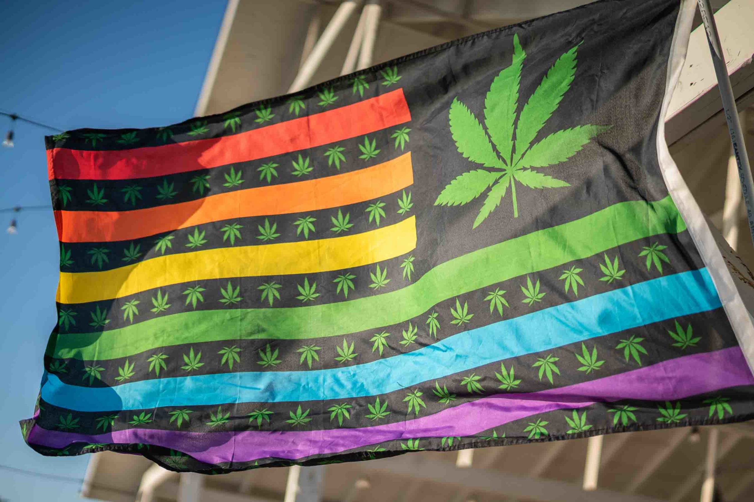 black rainbow pride flag with marijuana leaves