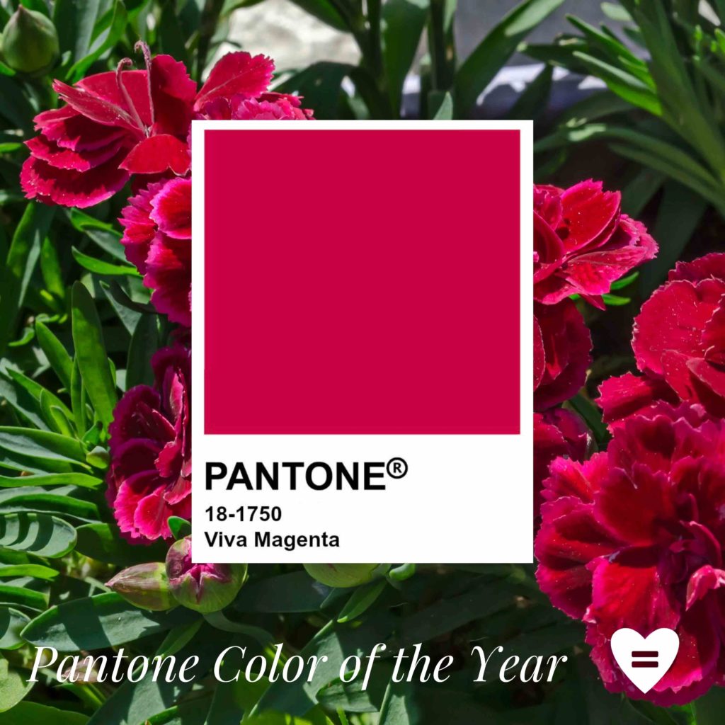 Pantone Color of the Year is Viva Magenta