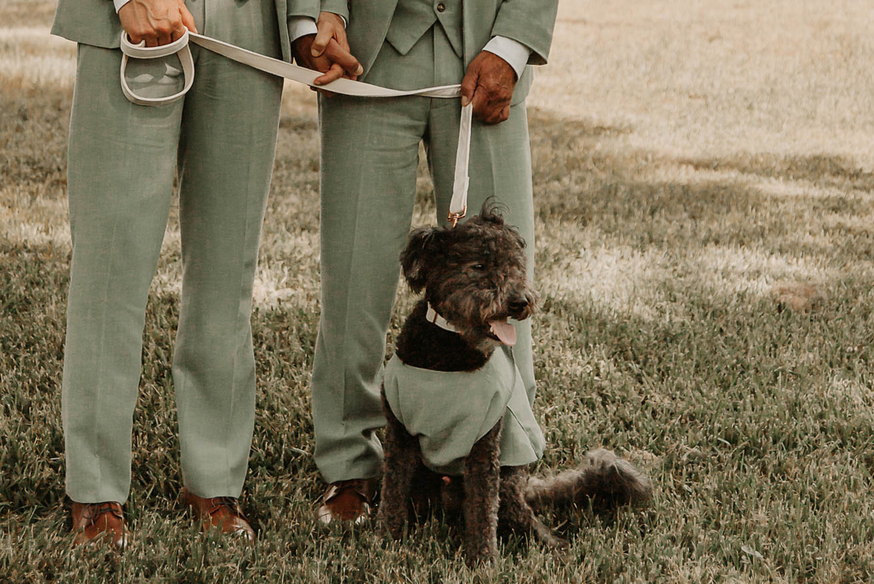 A black fluffy dog sits next to its owners, all wearing matching sage gray suits