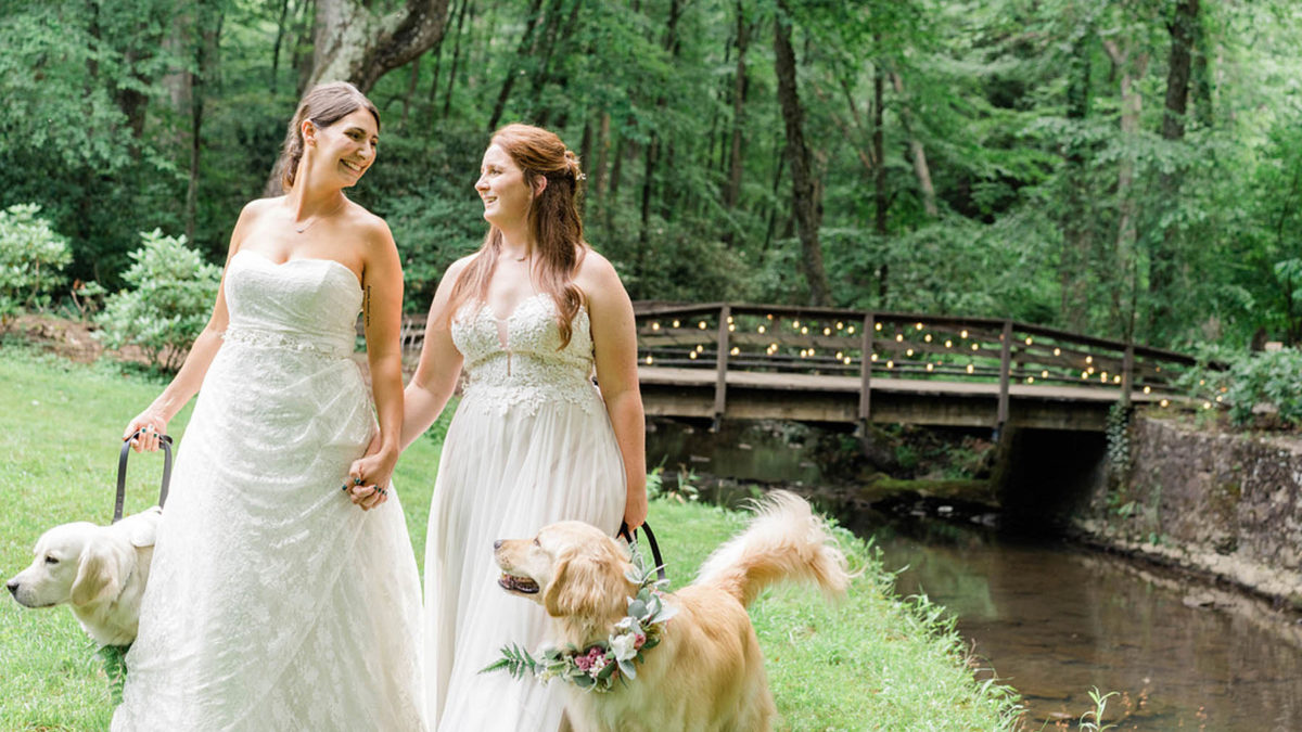 Travels to national parks inspired this DIY summer wedding featuring dog ring bearers and a creative guest book idea