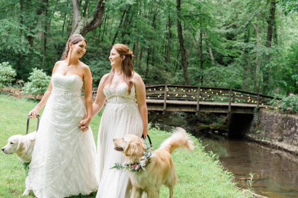 Two white brides in gowns stand in front of a wooden bridge with their two yellow dogs.