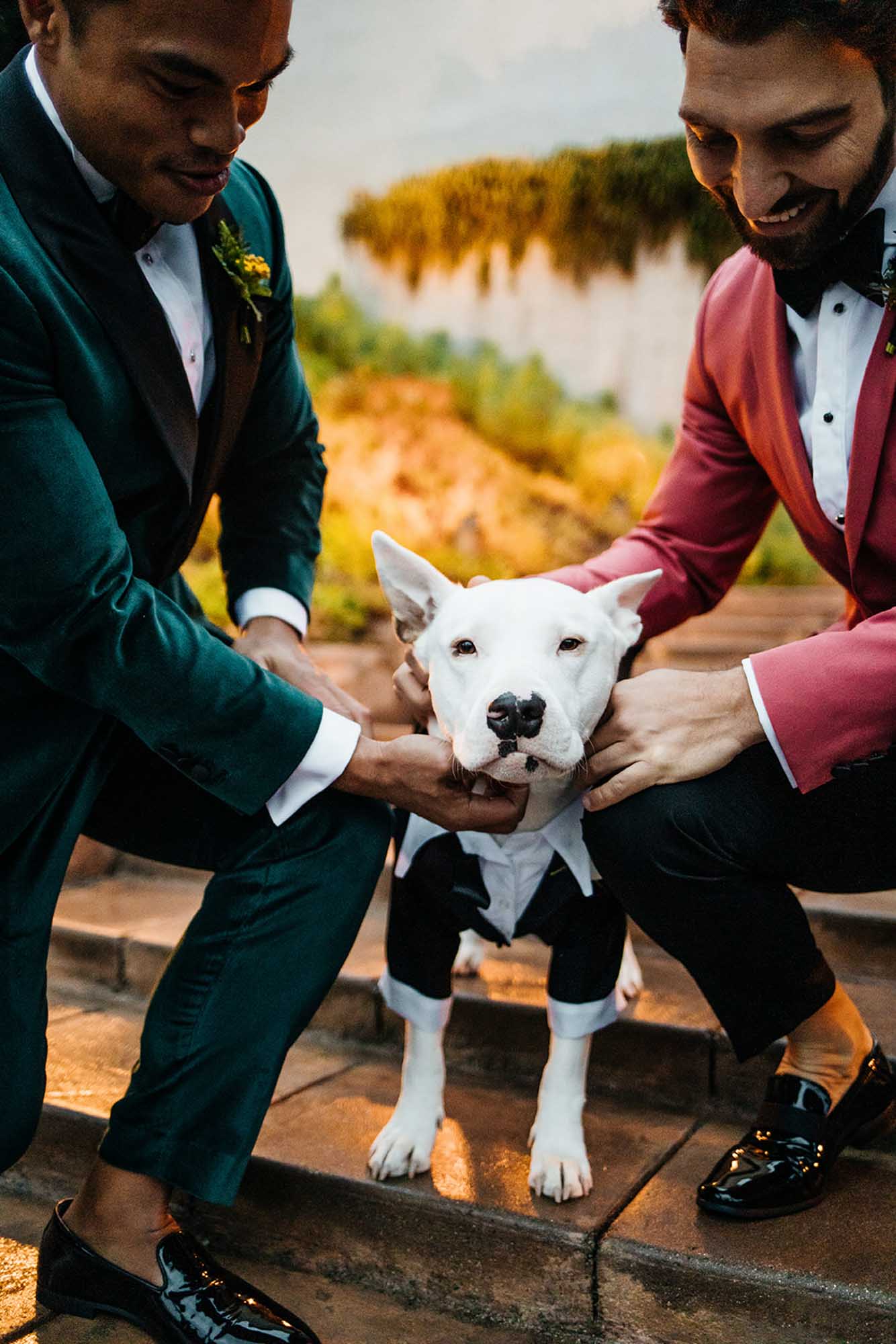 A white dog in a tuxedo sits between two grooms in green and pink suits.