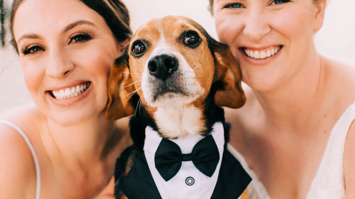 This spring Atlanta wedding featured the brides’ dog, custom Converse sneakers with a rainbow logo, a trendy phone guest book and a nostalgic ice cream truck