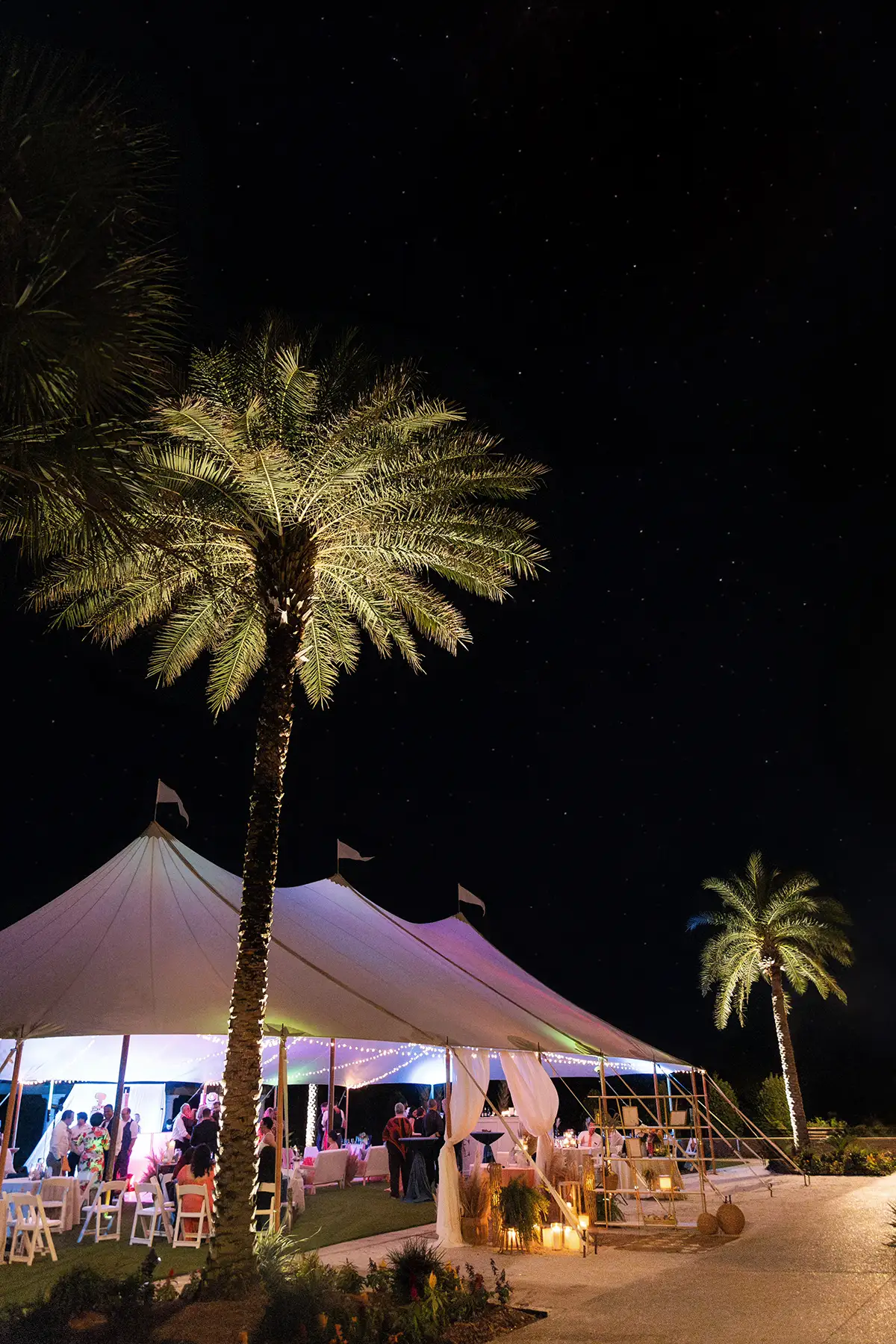 palm tree and wedding tent for evening outdoor wedding reception