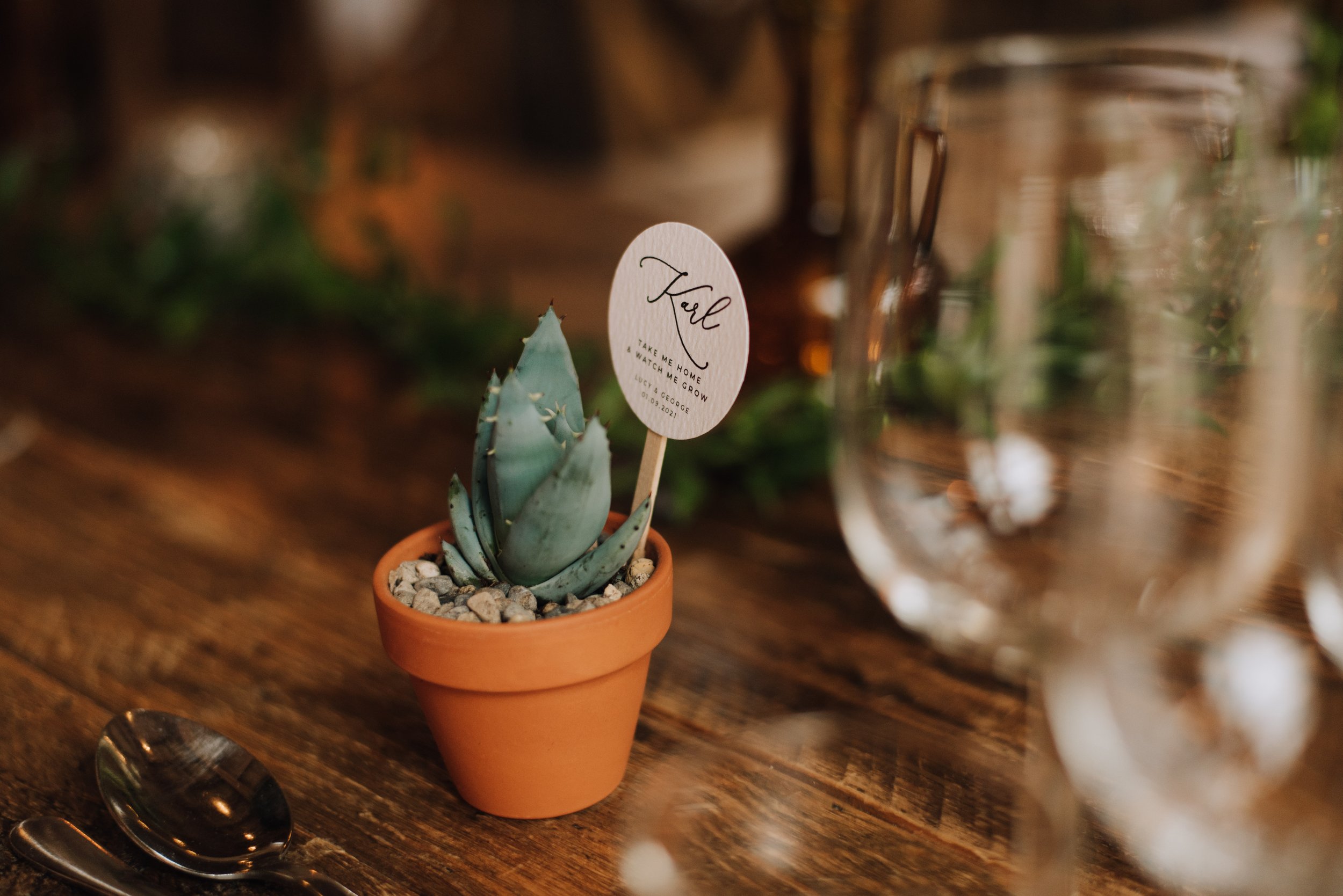 Sustainable Wedding Ideas Mini Plants as Wedding Favors