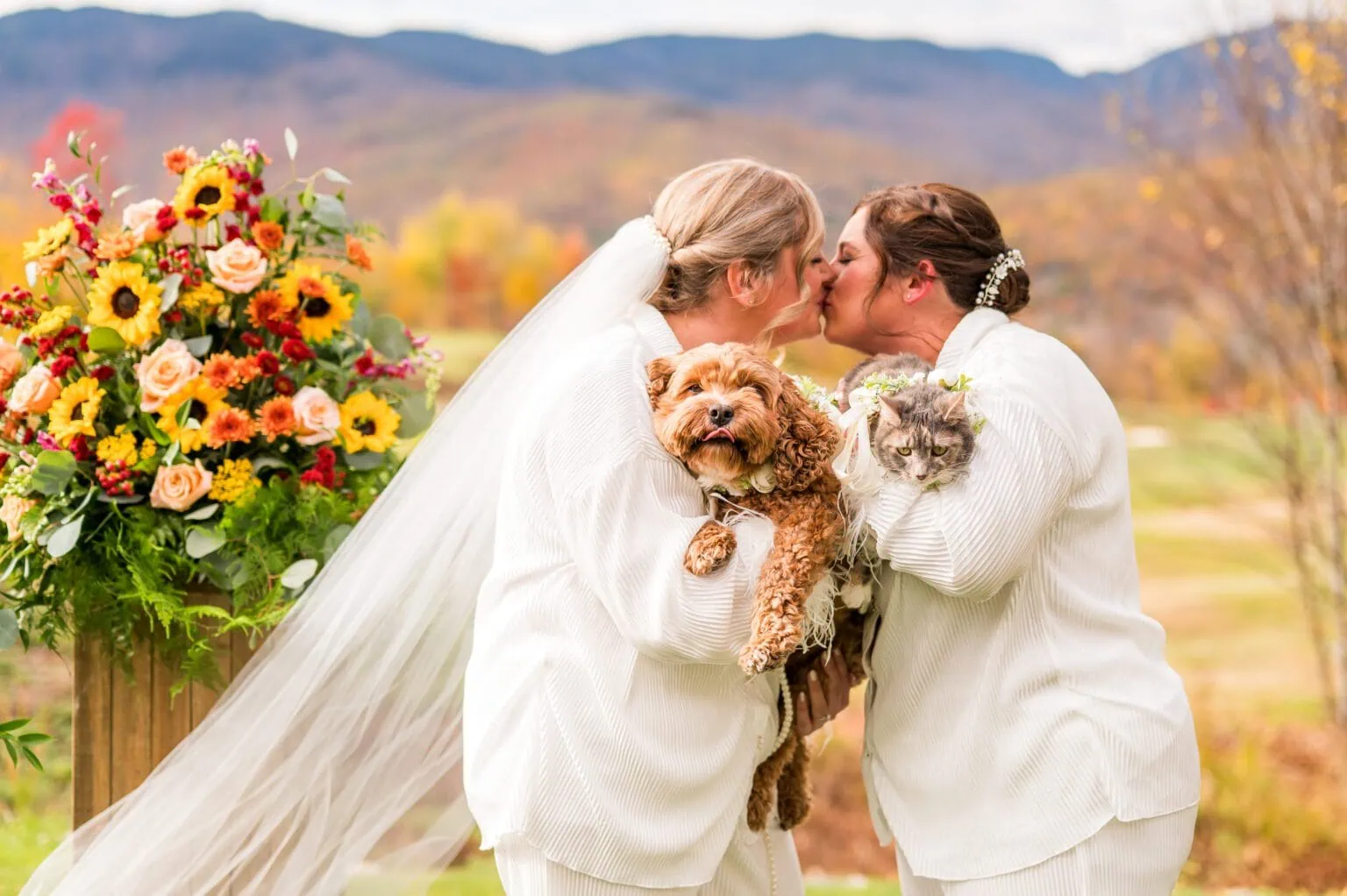 The two white brides say this and then kiss each other. "i will do it" They each hold a small dog. One bride wears a veil. Mountains are in the background.