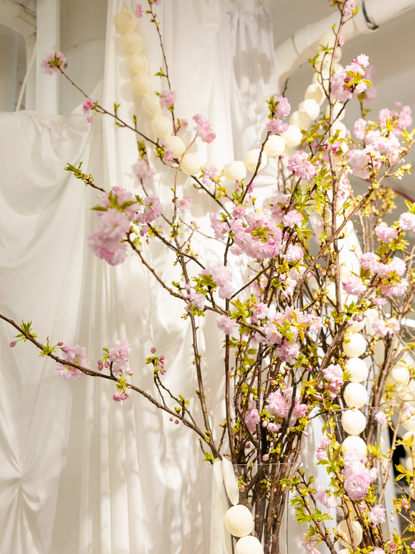 flowering branches with pink flowers