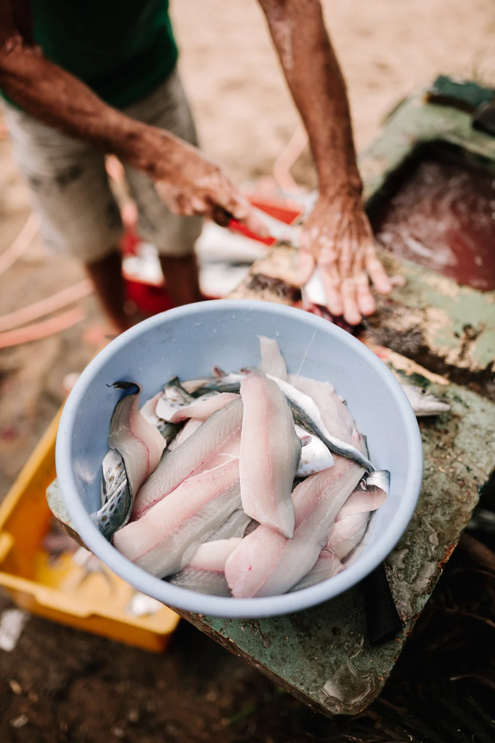 Fresh fish fillets in a bowl being prepared outdoors at Pouso das Flores in Paraty, Brazil.